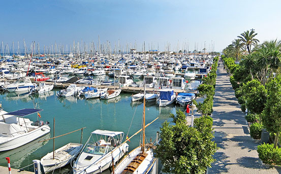 a marina full of boats
