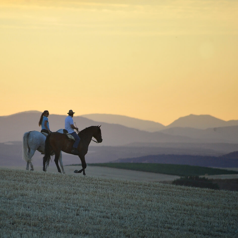 passeggiata a cavallo al tramonto