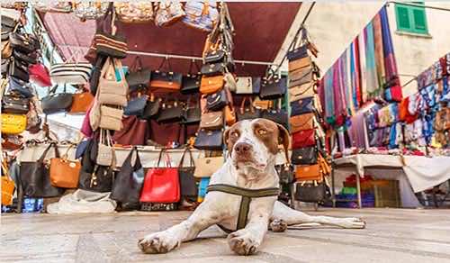 Shopping a Maiorca