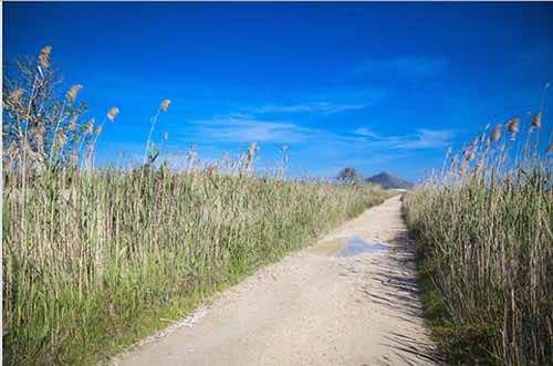 Park przyrodniczy S'Albufera
