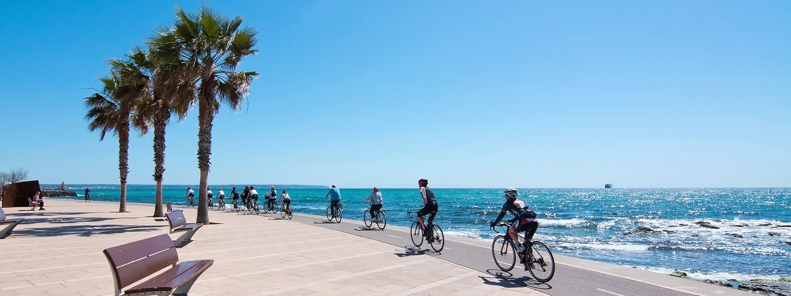 Palma to Arenal by bike