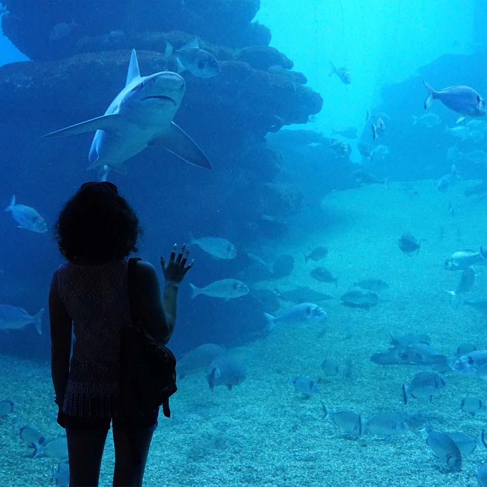 Palma Aquarium