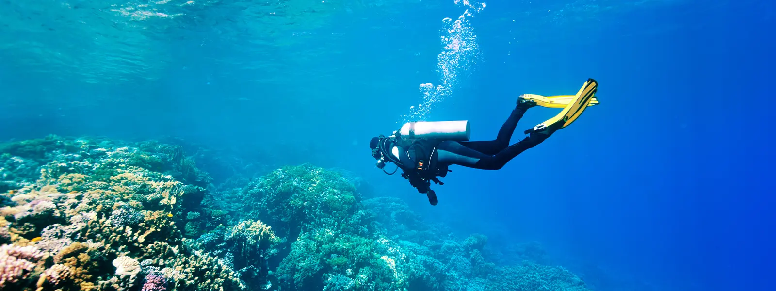 Top 3 diving sites