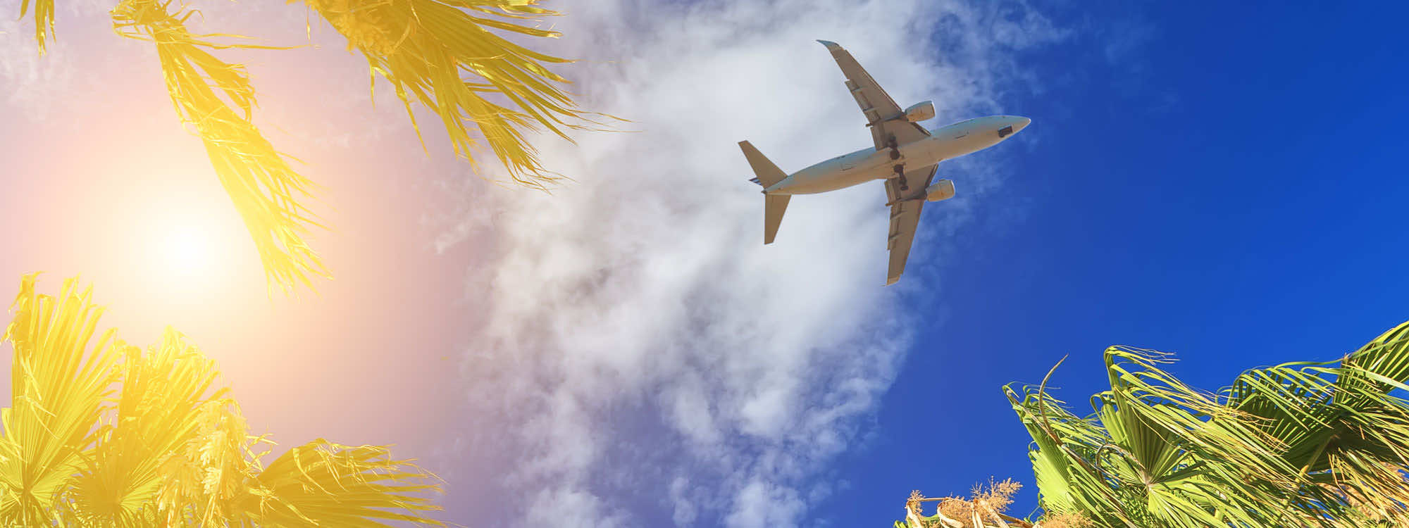 Airport transfer and parking