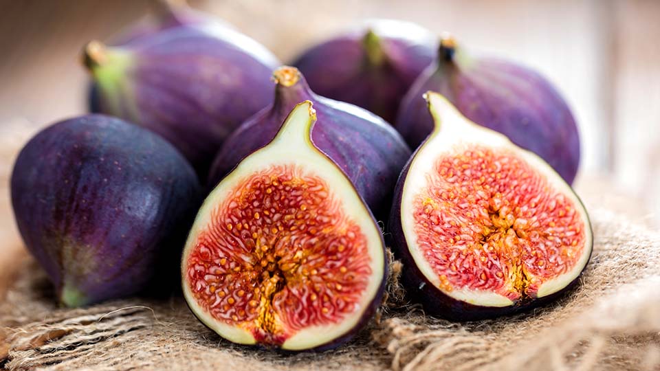 Feigen