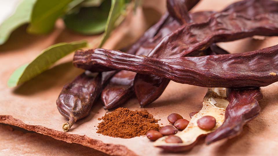 a close-up of a plant