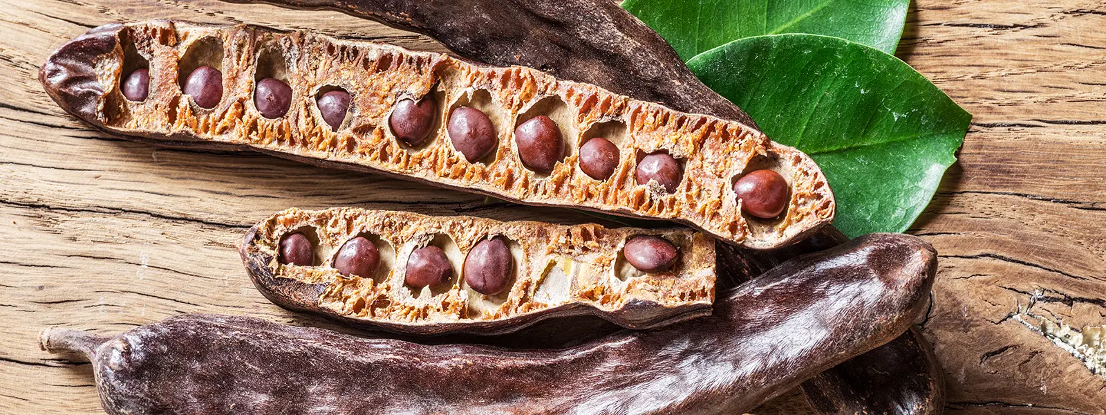 Mallorca's valuable pods