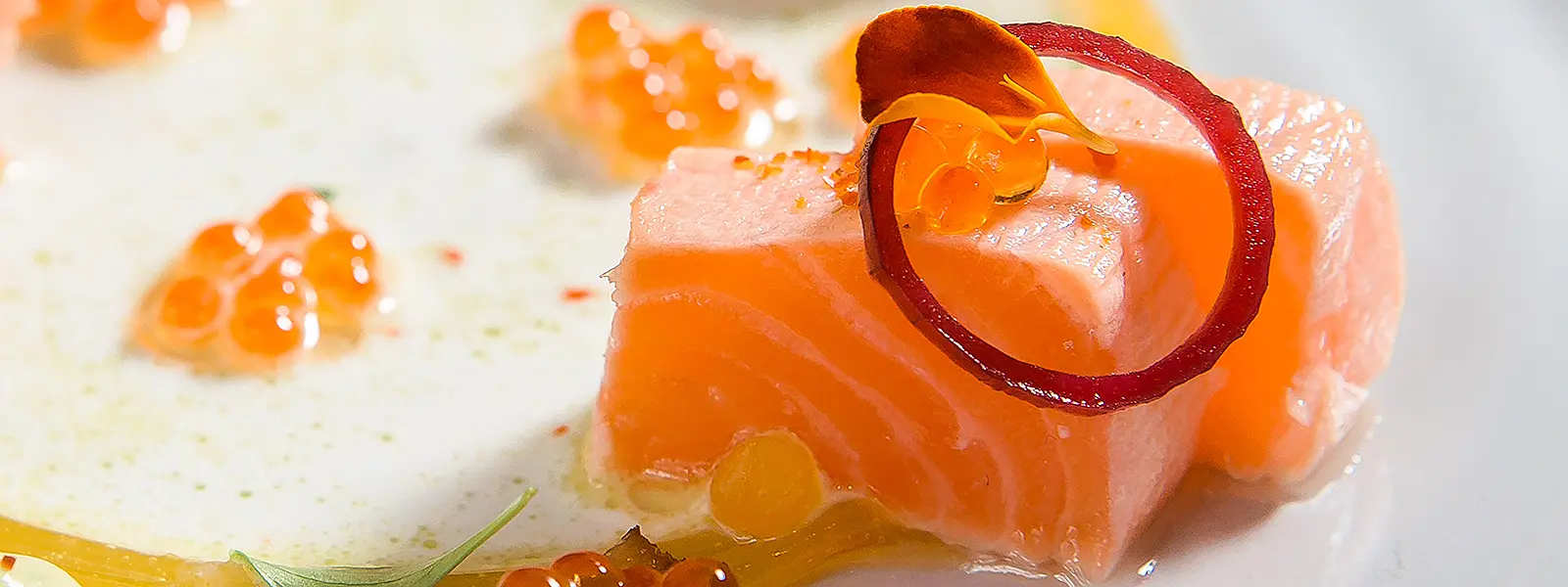 Tataki de salmon