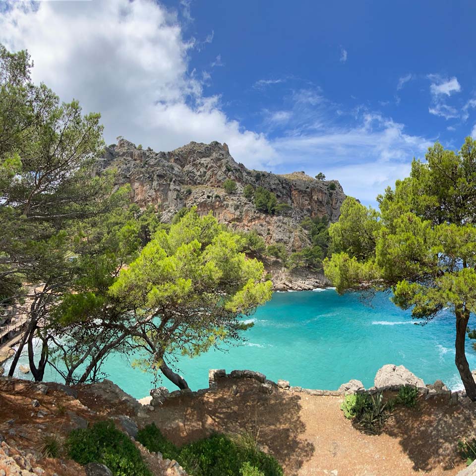 a body of water with trees and rocks around it