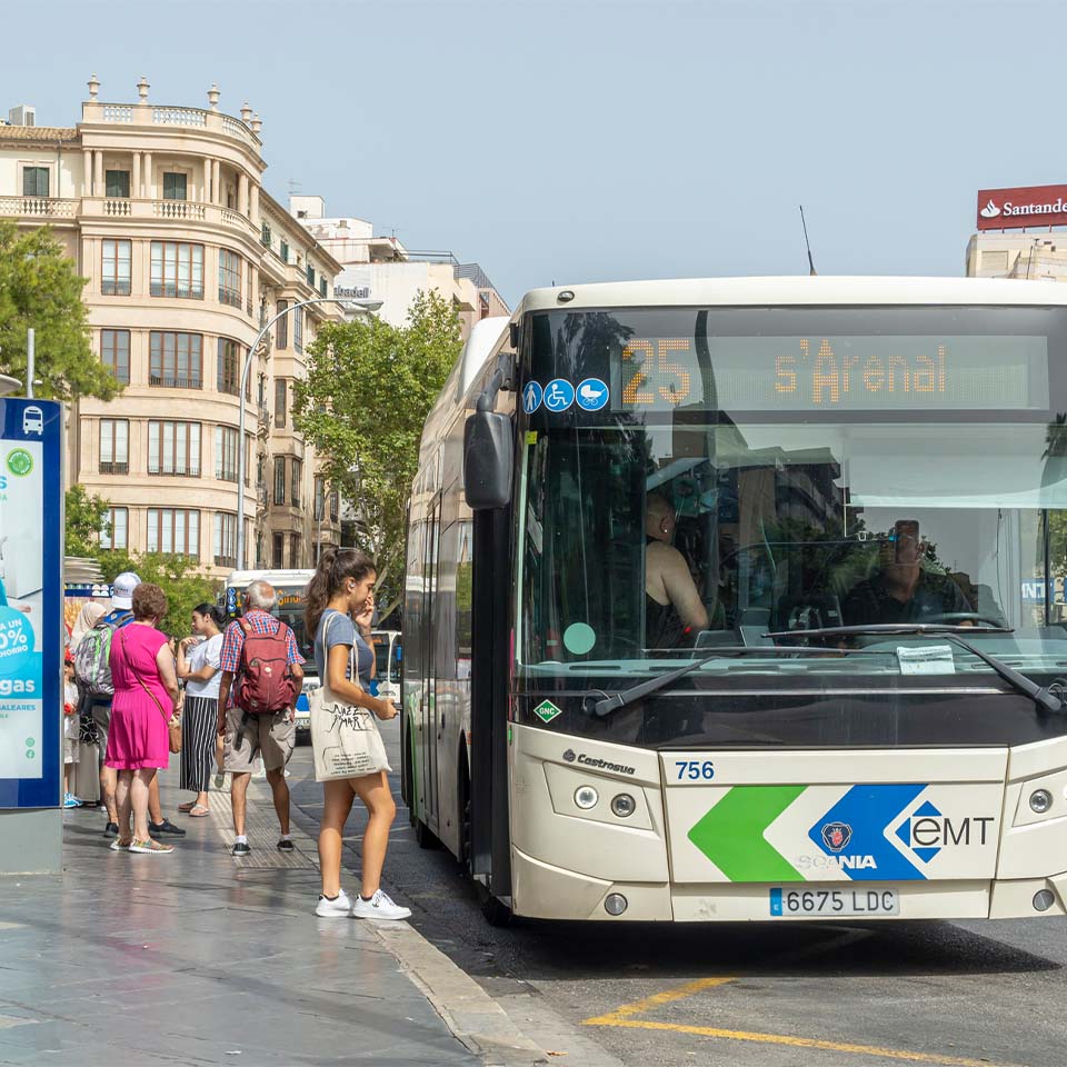 Palma autobus