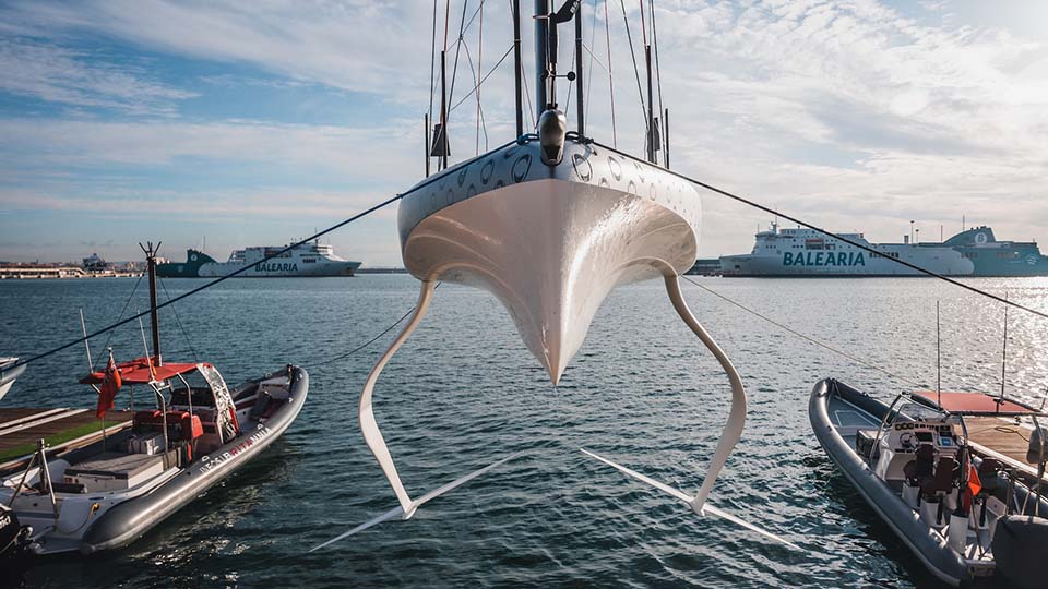 Copyright: Cameron Gregory