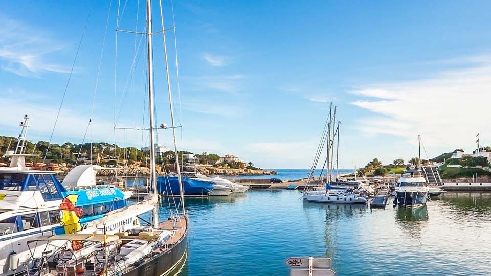 Hafen in Palma