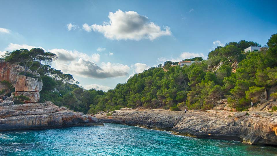 a body of water with trees and rocks on the side