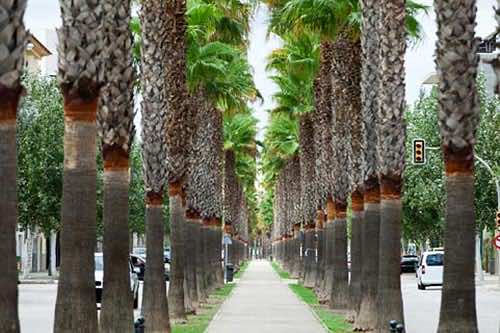Palemalle in Manacor auf Mallorca