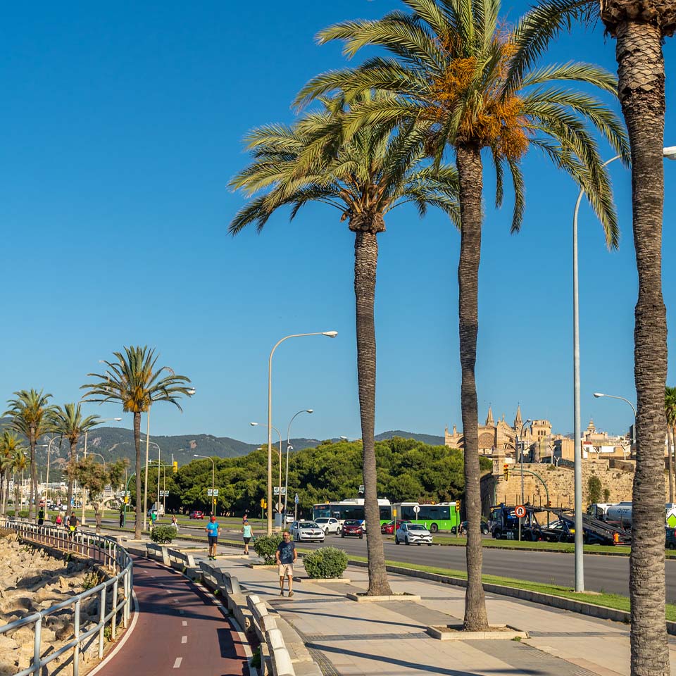 palma-beach-coast-walk 