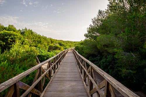 Sektor 1 Playa de Alcudia