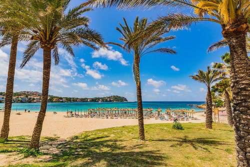 Santa Ponsa Mallorca Palmen und Strand
