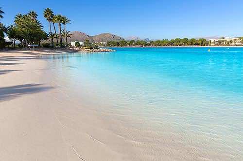 beach of alcudia