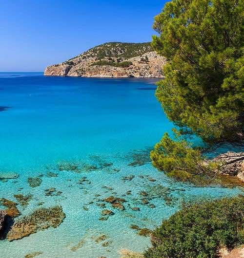 Port d'Andratx in Mallorca