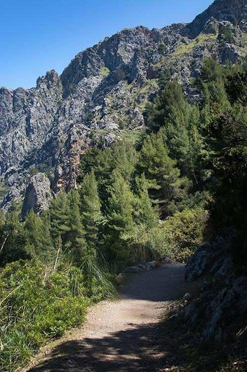 Hiking trail in the Tramuntana mountains