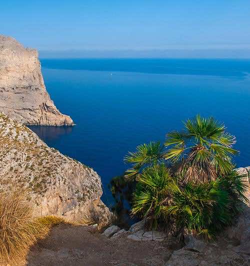 An der Nordküste von Mallorca können Sie Ihren Sommerurlaub verbringen - Hotels bieten in perfekter Lage Spaß und Action für Familien und Paare!