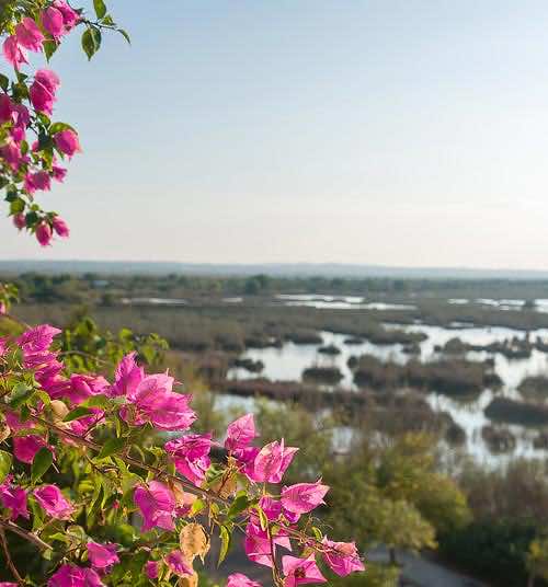 Vacanze al Parco Naturale di S’Albufera a Maiorca
