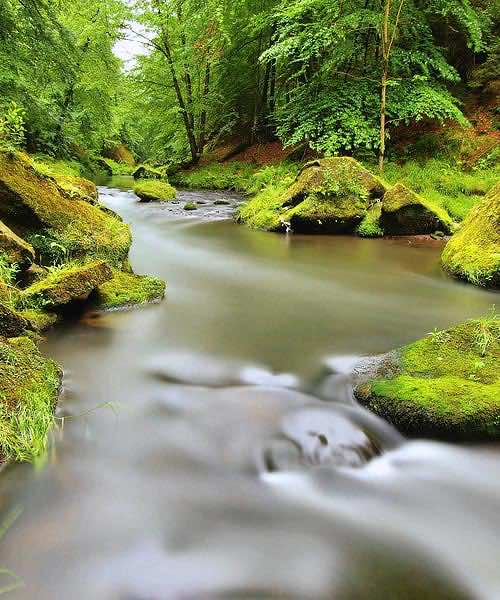 Ses Fonts Ufanes, natural monument in Mallorca