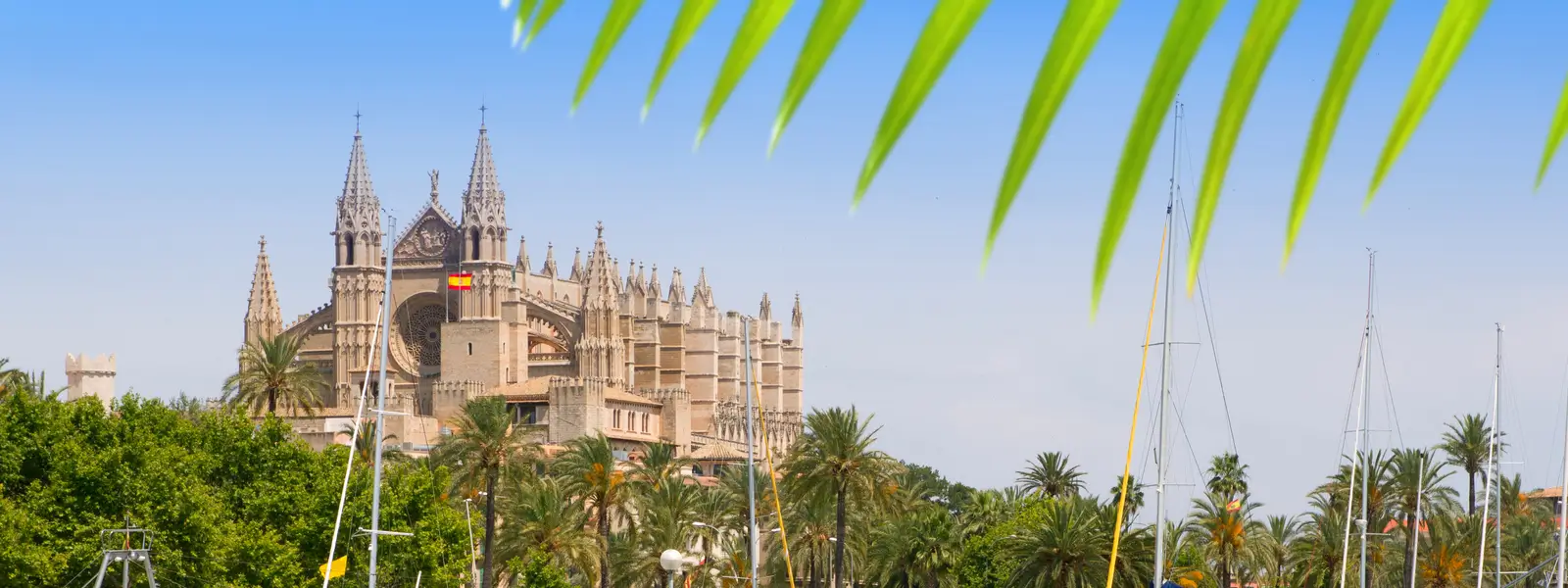 Property Update July 2023