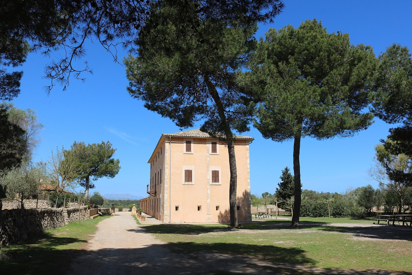 Casa Nova de Son Real sous les pins avec tables à l’extérieur