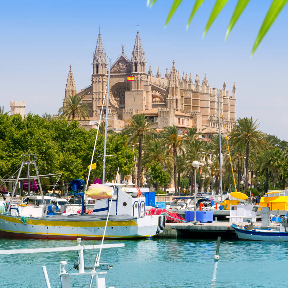 Palma city cathedral