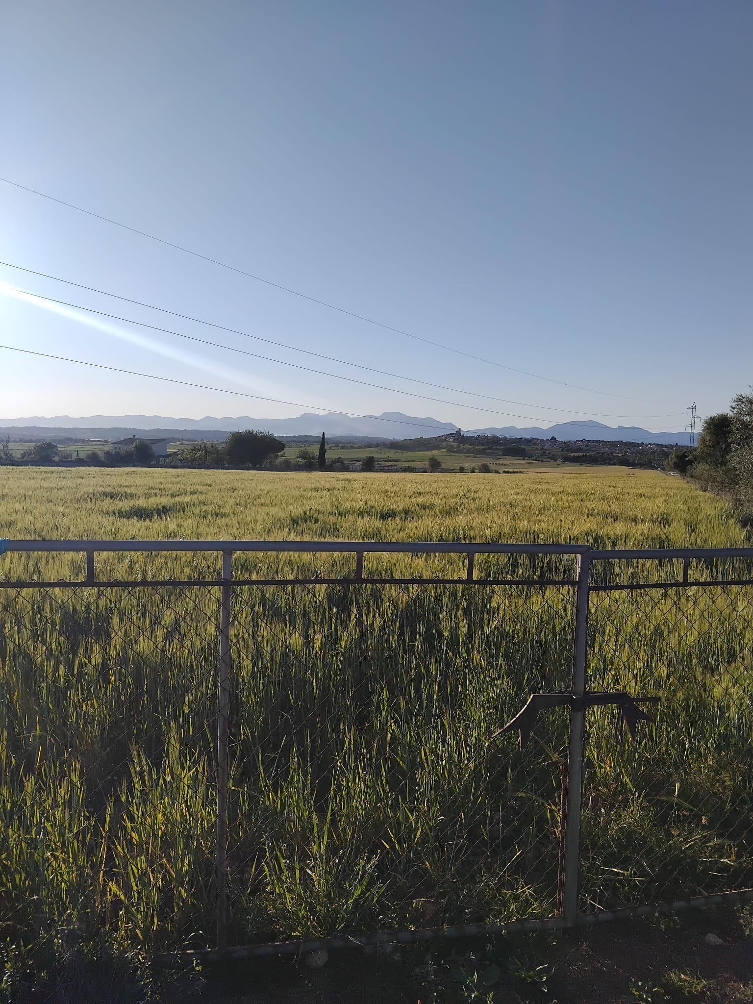 Se vende terreno edificable en Ariany  2